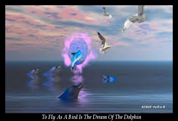 To Fly As A Bird Is The Dream Of The Dolphin