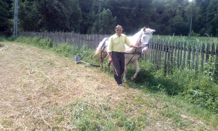 Peasant with his horse