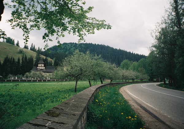 Sucevita road