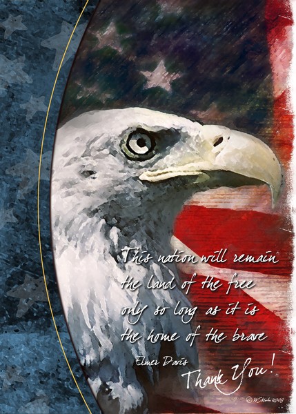 Patriotic Eagle Troop Support Card