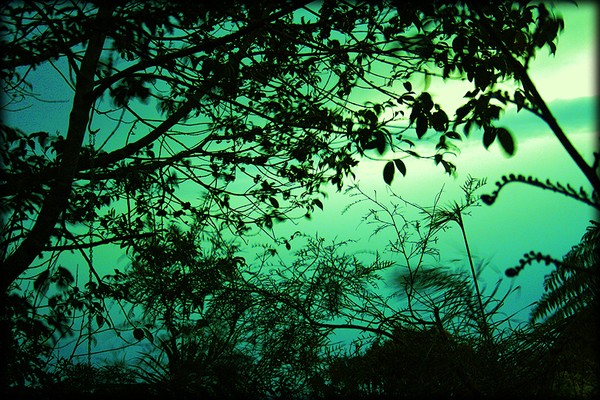 Night Storm