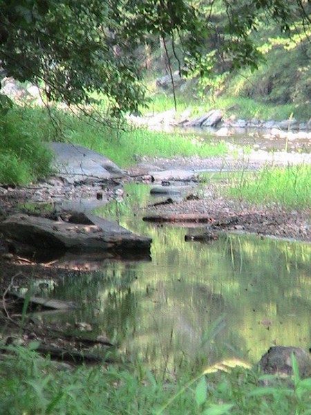 Creek n Stones