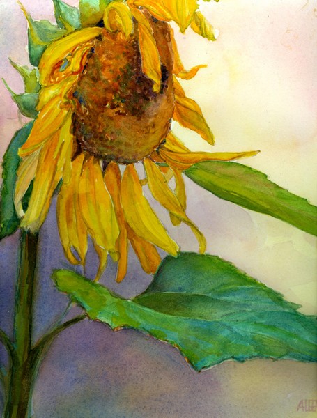 Sunflower/ Hope