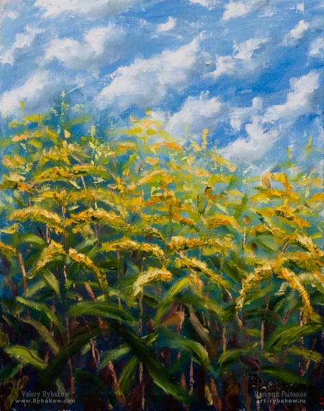Painting Summer flowers in early autumn