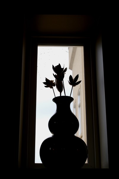 ombre de vase