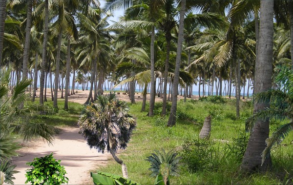 1479-South Florida Beach