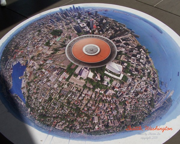 View from above the Space Needle