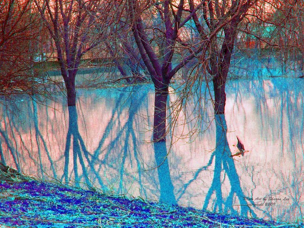 Floating Trees