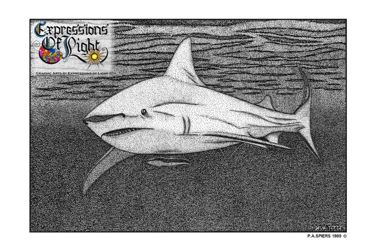 ExpoLight-Graphic-Arts-Shark-1989-0001 (Pen-&-Ink-Mono-SP)