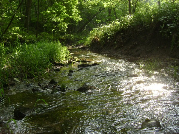 Going Up Stream