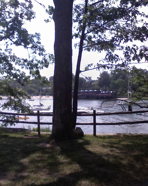 A Beach in The Bronx