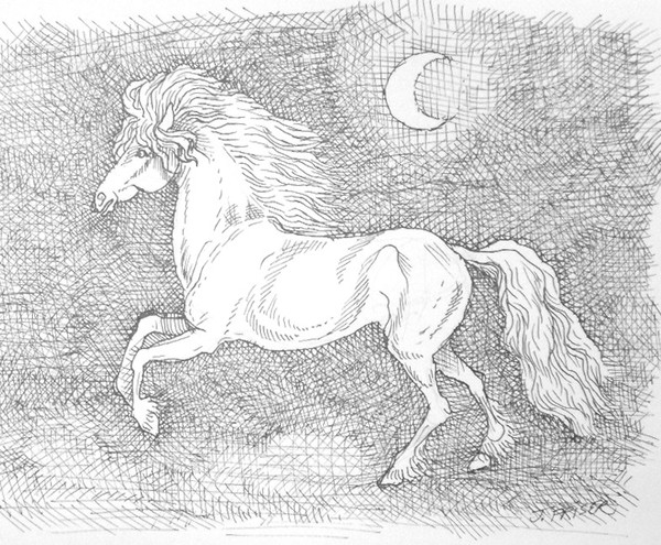 Horse And Moon