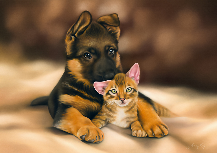 Friends Furever