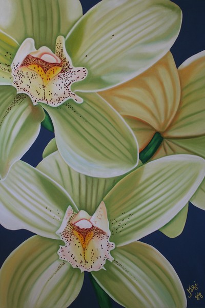 Orchid Calm