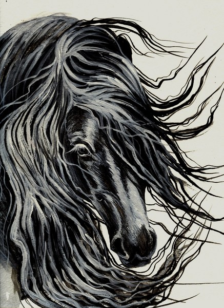Horse Art Giclee Print On Canvas