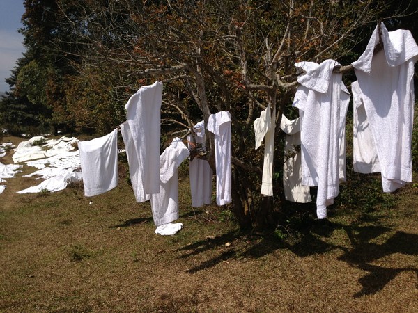 White on white