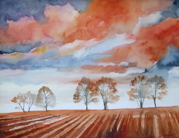 Colline toscane n10