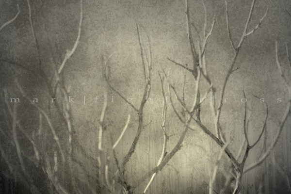 reticent