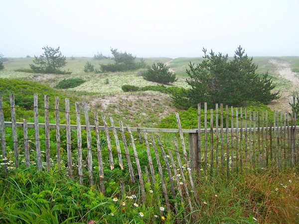 Surfside Dunes in Color