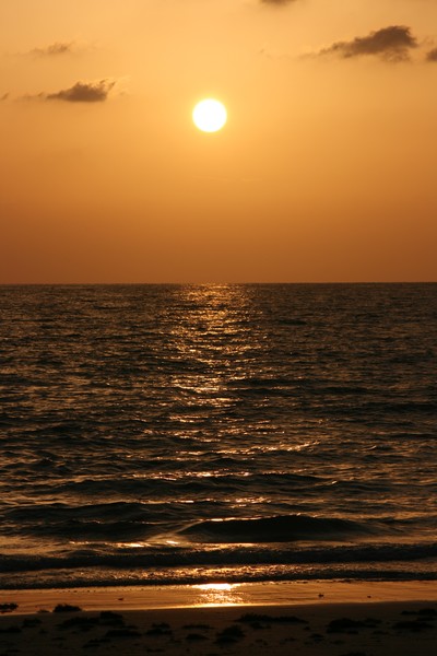 florida sunset