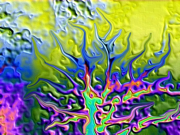 magic tree