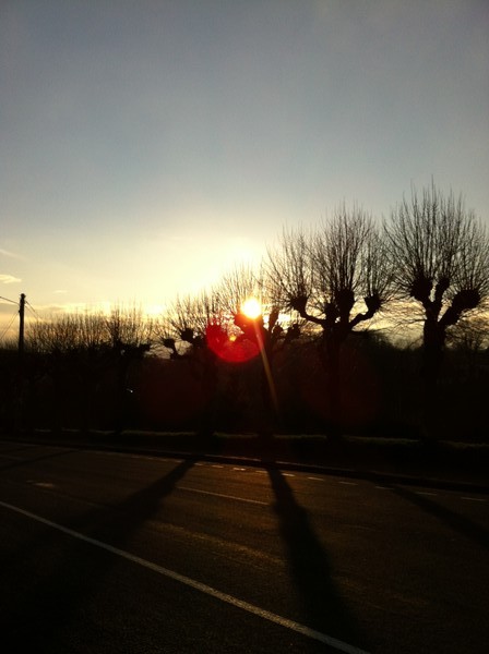 Landscape with sunset