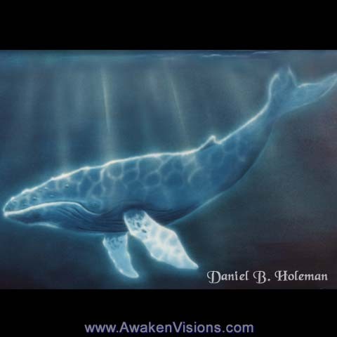 Whale