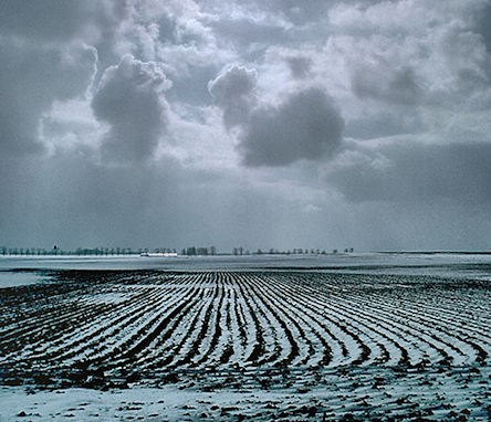 Field of Blue
