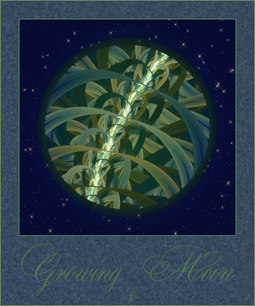 Growing Seed Moon