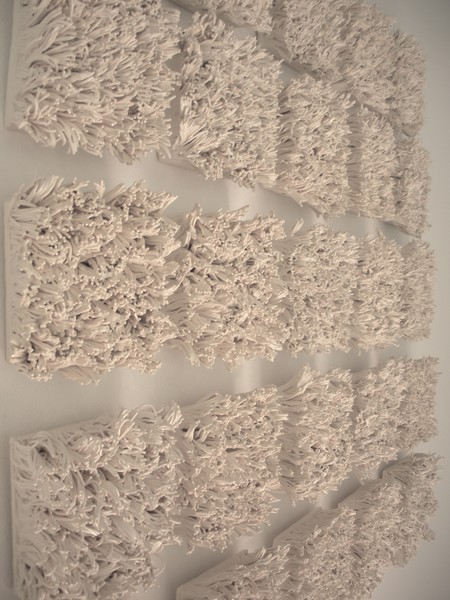 BLOOM (detail)