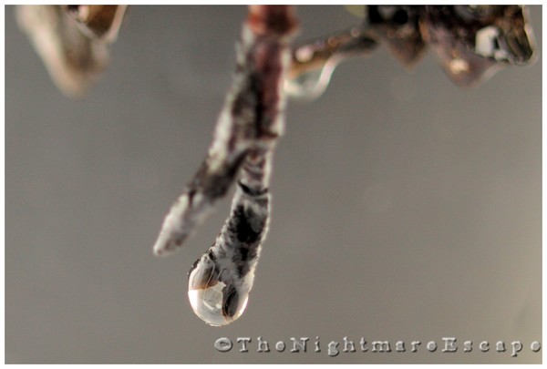 Drop