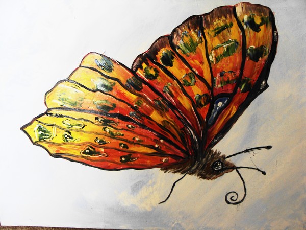 butterfly