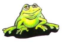 Brandy's Frog