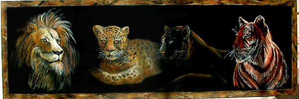 Wild cats