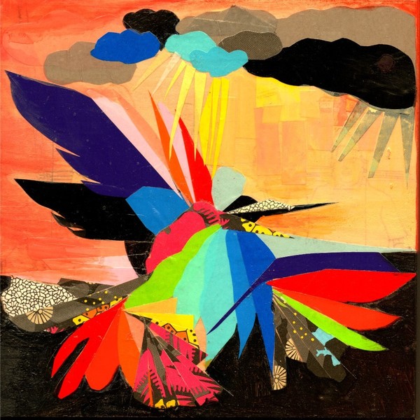 hummingbird