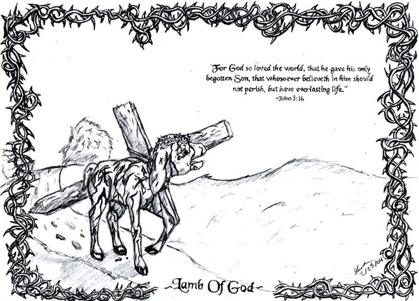 Lamb Of God
