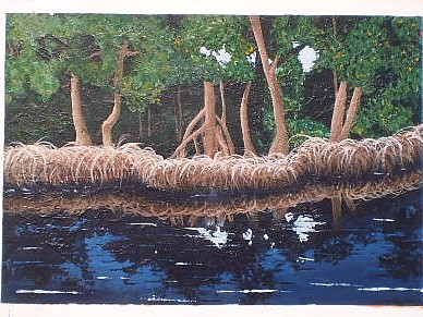 Reflecting Nature