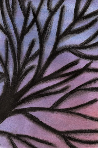 Nature's Stained Glass