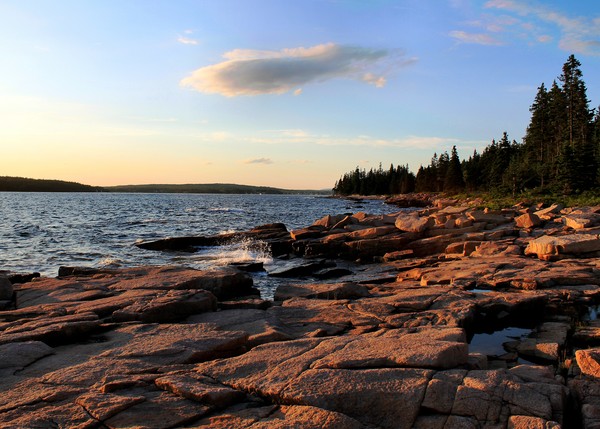 Evening Light