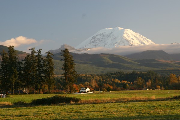 Mt. Rainier late afternoon