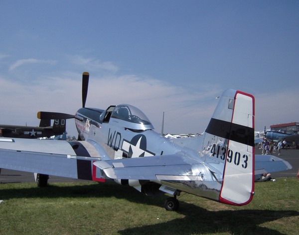 Mustang Waiting