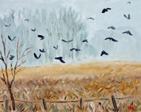 Foggy field with crows