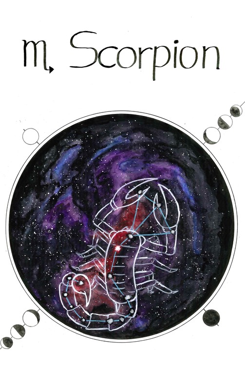 Scorpion