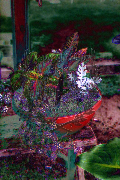 Flowers & Plants Mimi Planter