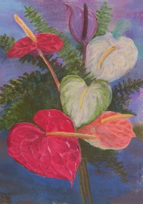 Anthurium