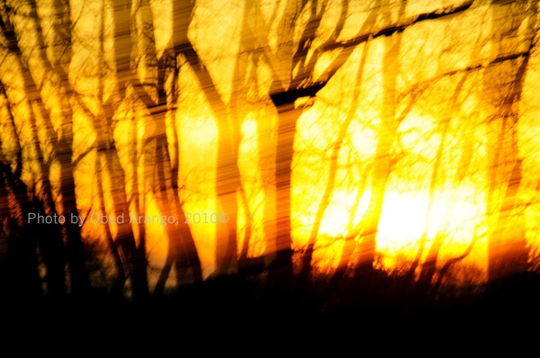 Sun Painting II/Pintura de sol II