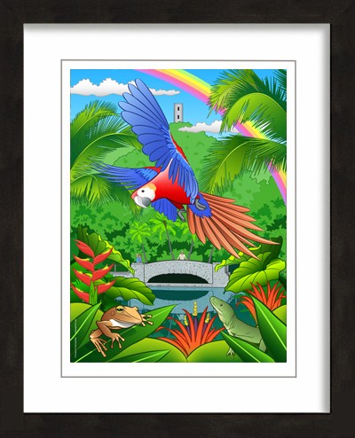 Rain Forest