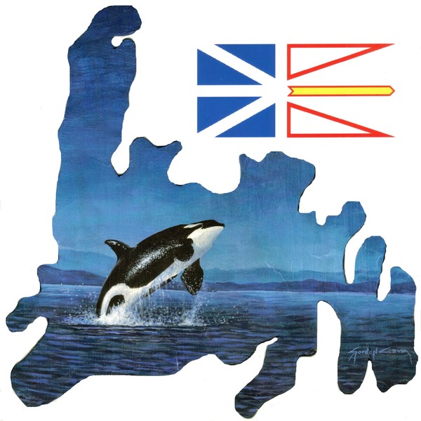 Whale