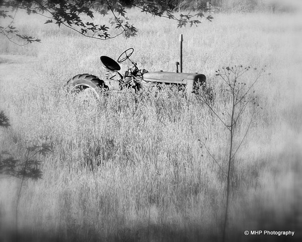 Out to Pasture