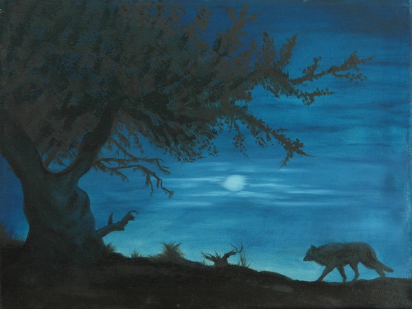 Roaming in the Moonlight